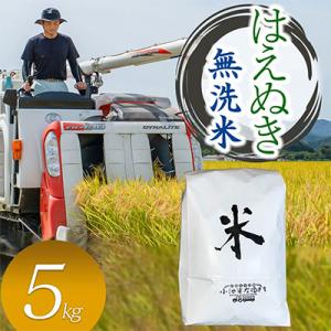 ふるさと納税 鶴岡市 数量限定【令和7年産】山形県庄内産 小池半左衛門のお米　はえぬき【無洗米】5k...
