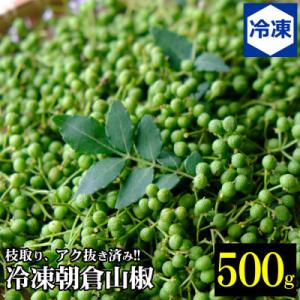 ふるさと納税 養父市 兵庫県養父市産 冷凍朝倉山椒 500g(6月下旬以降発送予定)