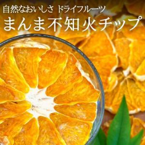 ふるさと納税 有田川町 まんま不知火チップ 200g(20g×10袋) ドライフルーツ 和歌山県産果...