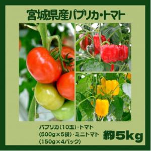 ふるさと納税 宮城県 【宮城県産】パプリカ・トマト詰合わせセット