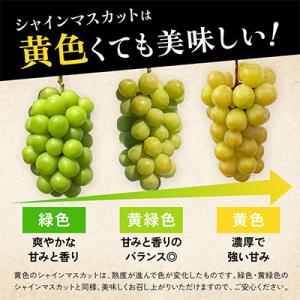 ふるさと納税 笛吹市 先行受付 2026年発送...の詳細画像2