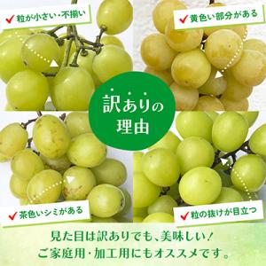 ふるさと納税 笛吹市 先行受付 2026年発送...の詳細画像3