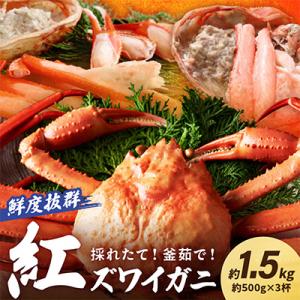 ふるさと納税 京丹後市 採れたて!釜茹で!　紅ズワイガニ　3杯　冷蔵便