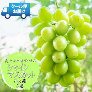 ふるさと納税 南アルプス市 安心のクール便発送　シャインマスカット 1kg (2房)　山梨県南アルプス市