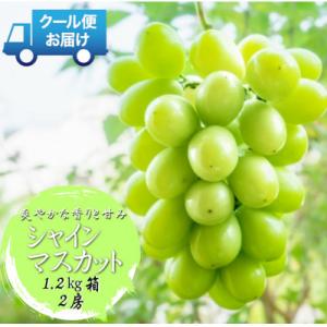 ふるさと納税 南アルプス市 安心のクール便発送 ...の商品画像
