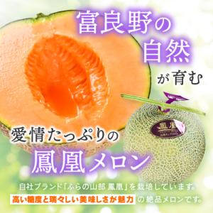 ふるさと納税 富良野市 【2026年発送】糖度...の詳細画像1