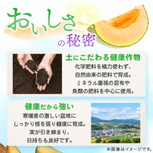 ふるさと納税 富良野市 【2026年発送】糖度...の詳細画像2