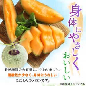 ふるさと納税 富良野市 【2026年発送】糖度...の詳細画像3