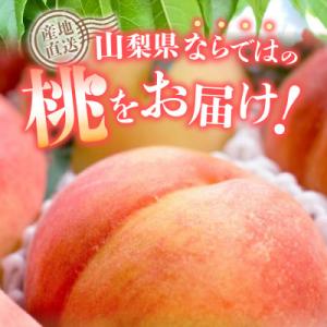 ふるさと納税 富士吉田市 【2026年先行受付...の詳細画像1