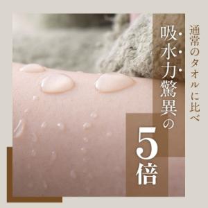 ふるさと納税 泉佐野市 高級フェイスタオル n...の詳細画像2