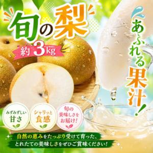 ふるさと納税 玉名市 厳選 旬の梨 約3kg(玉名市)【8月下旬より順次発送】