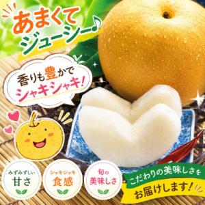 ふるさと納税 玉名市 厳選 旬の梨 約3kg(...の詳細画像2