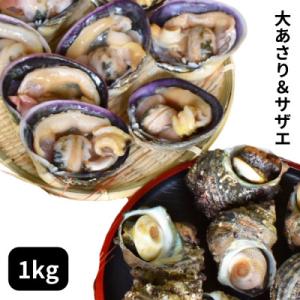 ふるさと納税 南知多町 海鮮バーベキューセット1kg(大あさり500g&amp;サザエ500g)大アサリ専用...