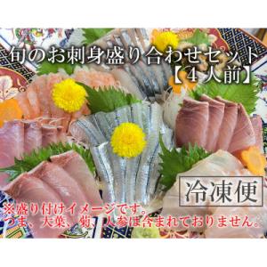 ふるさと納税 能登町 【冷凍】刺身盛り合わせセット(4人前)