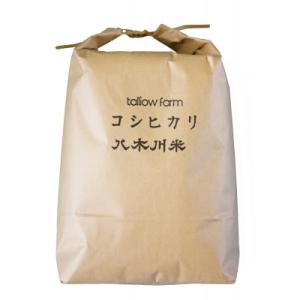 ふるさと納税 養父市 【コシヒカリ 玄米 10kg】 蛇紋岩 特別栽培米 八木川米