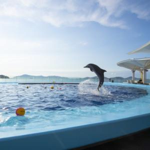 ふるさと納税 宇多津町 四国水族館　<大人>ペア入館券