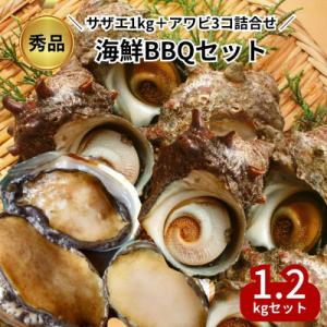 ふるさと納税 南知多町 秀品サザエ1kg+蝦夷アワビ3コの贅沢海鮮バーベキューセット詰め合わせ(活き...
