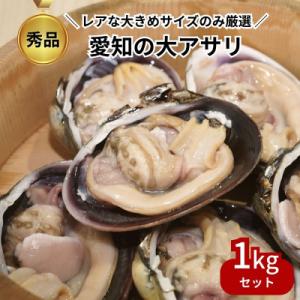 ふるさと納税 田原市 愛知名物!秀品・天然大アサリ約1kg レアな大粒サイズを厳選!海鮮BBQに(C...