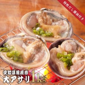 ふるさと納税 田原市 天然大アサリ10枚(約1kg)+だし醤油 海鮮バーベキューBBQに!(CAS冷...