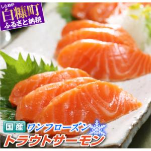 ふるさと納税 白糠町 国産ワンフローズントラウトサーモン【800g】