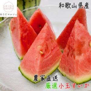 ふるさと納税 高野町 《2026年・先行受付》【...の商品画像