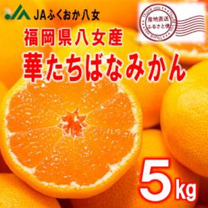 ふるさと納税 八女市 先行受付【福岡県八女市産 華たちばなみかん5kg】JAふくおか八女より産地直送...