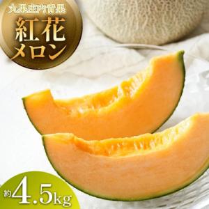 ふるさと納税 鶴岡市 【山形県産】紅花メロン(赤肉)約4.5kg (3~5玉)