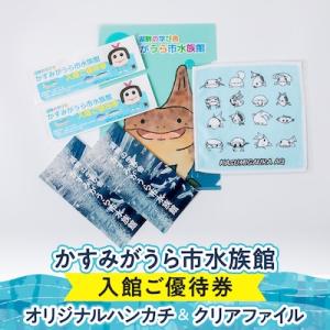 ふるさと納税 かすみがうら市 かすみがうら市水族館優待券とオリジナルハンカチ&amp;クリアファイル