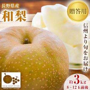 ふるさと納税 中野市 高丘フルーツの長野県産「和梨」贈答用　約3Kg　8-12玉前後