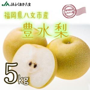 ふるさと納税 八女市 【福岡県八女市産 豊水梨5kg】JAふくおか八女より産地直送※8中旬より順次発送