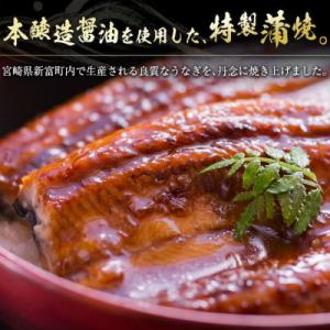 ふるさと納税 新富町 宮崎県産うなぎ蒲焼き4尾...の詳細画像2