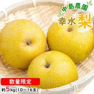 ふるさと納税 島原市 【7月下旬より順次発送】中島農園の幸水梨 約5kg(10玉〜16玉)(島原市)