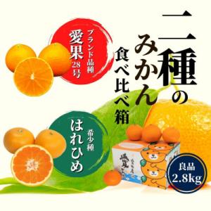ふるさと納税 松山市 2種のみかん食べ比べ箱 愛果28号・はれひめ(良品) 約2.8kg &lt;12月〜...