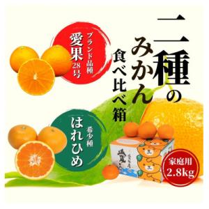 ふるさと納税 松山市 2種のみかん食べ比べ箱 愛果28号・はれひめ(家庭用) 約2.8kg &lt;12月...