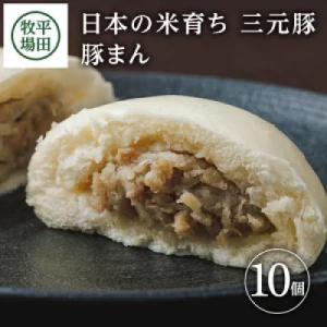 ふるさと納税 酒田市 日本の米育ち三元豚豚まん(100g)10個