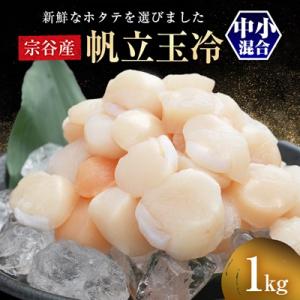 ふるさと納税 稚内市 北海道 オホーツク 宗谷産 ホタテ 貝柱 1kg (中小混合) 刺身 海鮮