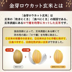 ふるさと納税 坂戸市 金芽ロウカット玄米(無洗...の詳細画像1