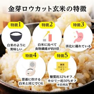 ふるさと納税 坂戸市 金芽ロウカット玄米(無洗...の詳細画像2