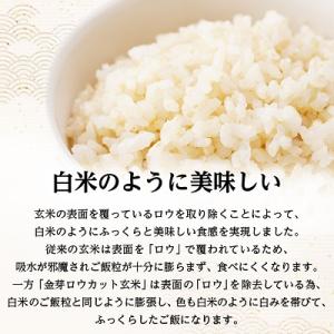 ふるさと納税 坂戸市 金芽ロウカット玄米(無洗...の詳細画像3