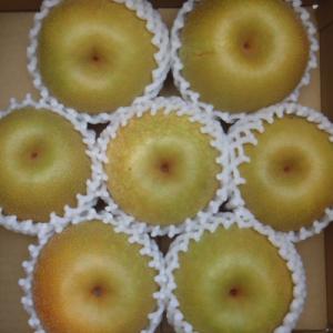 ふるさと納税 高森町 梨　幸水　大玉で糖度13度以上　7〜8個入り　約3kg
