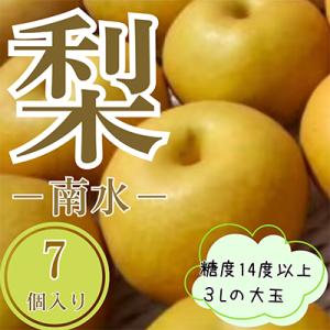 ふるさと納税 飯田市 梨　南水　大玉で糖度14度以上　7〜8個入り　約3kg