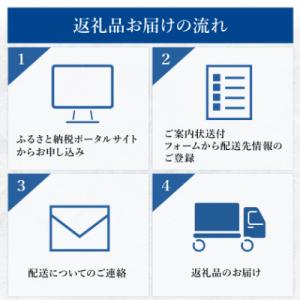 ふるさと納税 豊川市 【Sealy】マスターピ...の詳細画像3