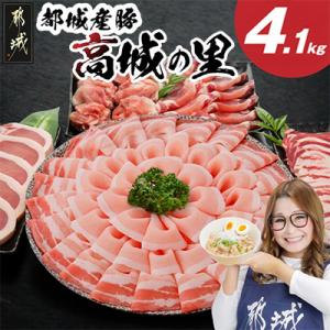 ふるさと納税 都城市 【期間限定】【使い易さ抜群】都城産豚「高城の里」わくわくセット4.1kg