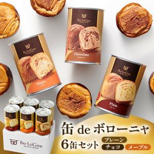 ふるさと納税 新発田市 デニッシュパンを詰め込ん...の商品画像