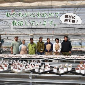 ふるさと納税 大田原市 エケベリア苗アソート8...の詳細画像2
