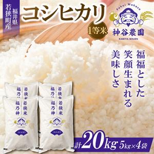 ふるさと納税 若狭町 【令和8年産先行受付】福井県若狭町コシヒカリ(1等米)　20kg(5kg×4袋)