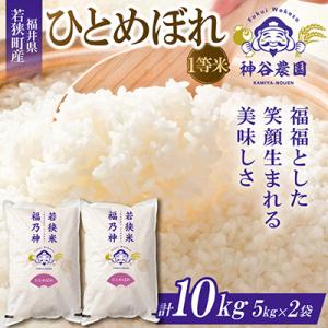 ふるさと納税 若狭町 【令和8年産先行受付】福井県若狭町ひとめぼれ(1等米)　10kg(5kg×2袋)