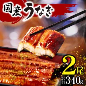 ふるさと納税 宮崎市 国産　うなぎ蒲焼2尾(計340g)