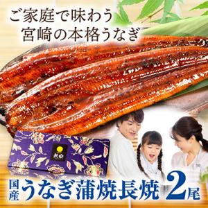 ふるさと納税 宮崎市 国産 うなぎ蒲焼2尾(計...の詳細画像1