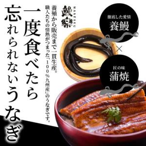 ふるさと納税 宮崎市 国産 うなぎ蒲焼2尾(計...の詳細画像2